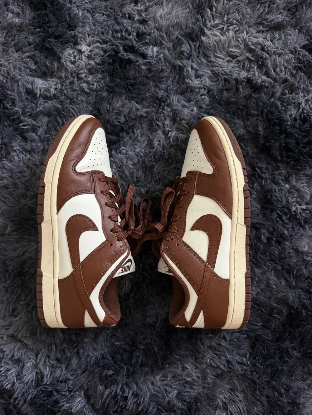 Nike Dunks Cacao Wow
